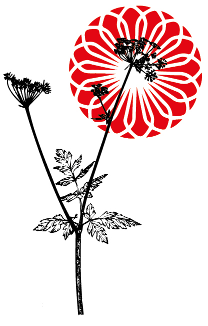 Elisir del Cardinale Immagine di sfondo